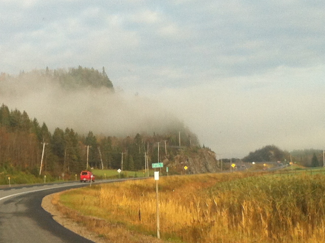 IMG_4272 (640x478) - Copy.jpg