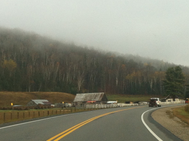 IMG_4304 (640x478) - Copy.jpg