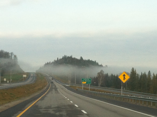 IMG_4291 (640x478) - Copy.jpg