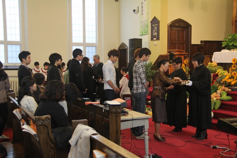 IMG_4817 (800x533).jpg