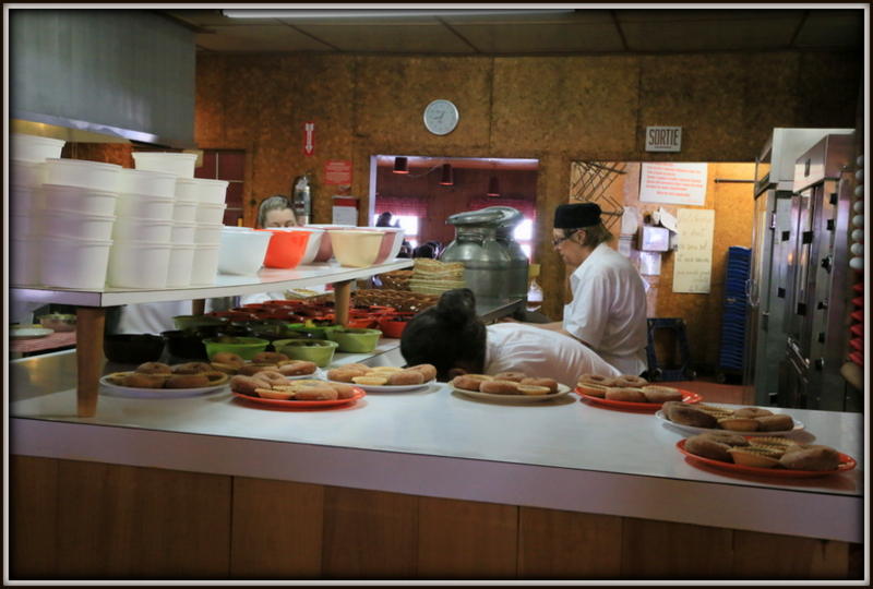 Maple Syrup 농장 131.JPG