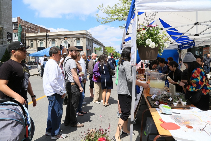 IMG_4979 (800x533).jpg