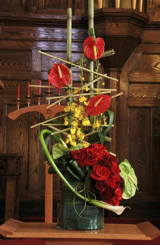 IMG_2954 (525x800).jpg