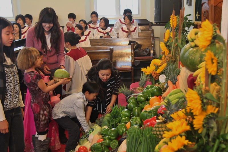 IMG_4736 (800x533).jpg