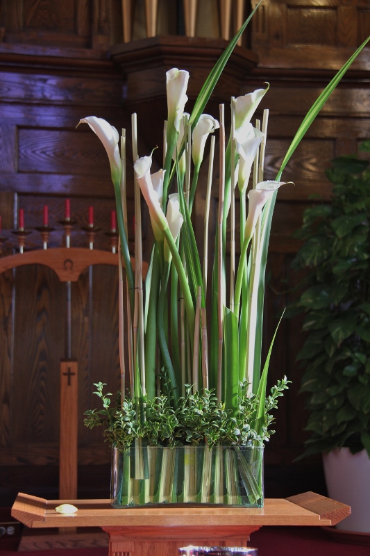 IMG_3555 (533x800).jpg