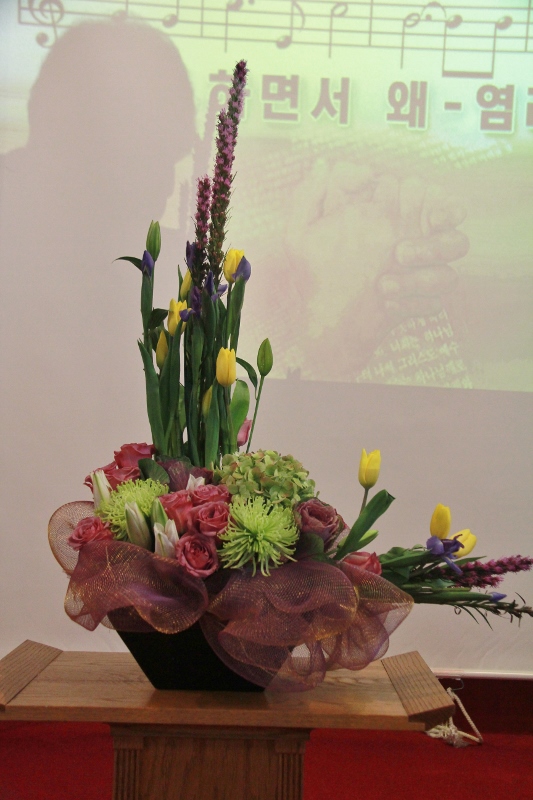 IMG_5387 (533x800).jpg