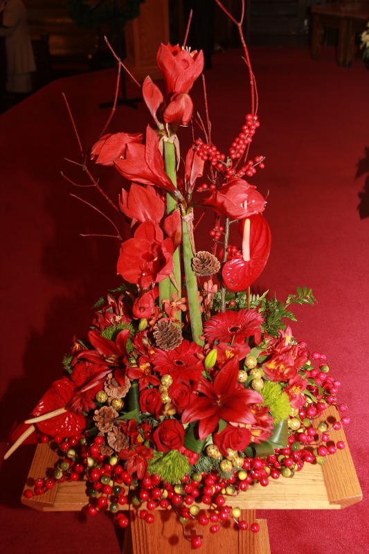 IMG_5873 (533x800).jpg