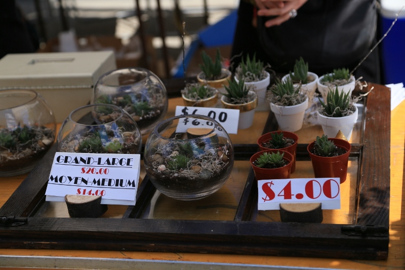 IMG_4937 (800x533).jpg